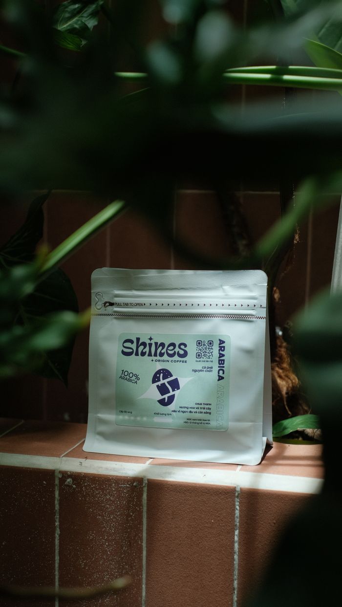 Home A packet of Shines Arabica coffee displayed on a tiled surface surrounded by plants.